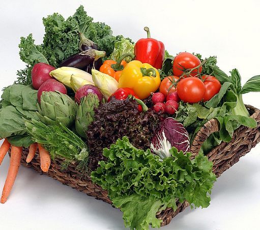 理解五大理念 引领畜牧业发展|3377官网(图2)