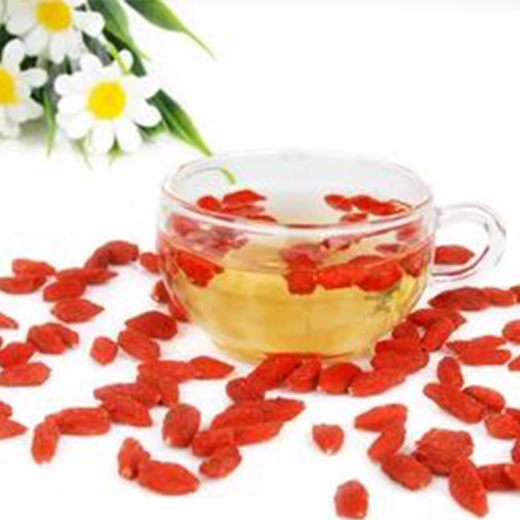 【3377app】山西省现代畜牧业打造“一区四圈”(图1) 3377体育