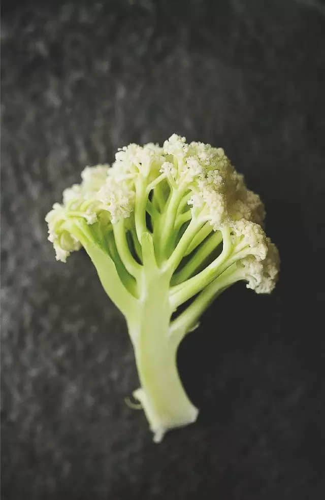 ‘3377体育’“花儿向阳开”淮安市清河幼儿园建园六十周年主题展示活动掠影(图1) ‘3377体育’“花儿向阳开”淮安市清河幼儿园建园六十周年主题展示活动掠影(图1)