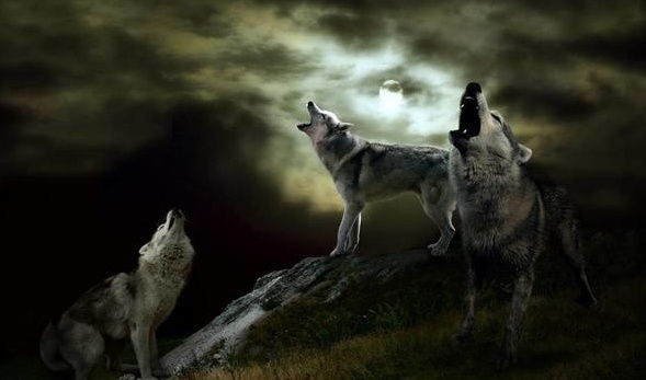 淮安市淮海花园幼儿园召开突出问题自查自纠会议-3377app(图3) 3377官网