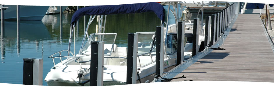 2018年德国成为中国最大的猪肉供应商“3377app”(图4) 3377官网