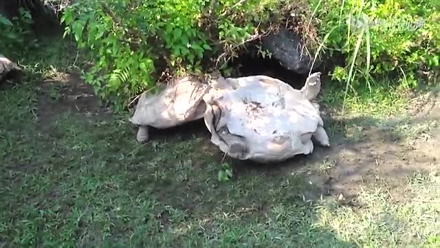 3377app|一件产地浙江嘉兴羽绒服如何能走红纽约的(图4) 3377体育