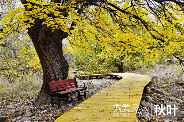 3377app|一件产地浙江嘉兴羽绒服如何能走红纽约的(图2) 3377体育