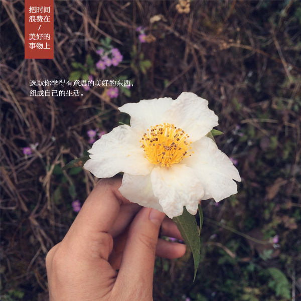 3377体育:
掀被子踹肚子!醉酒男老师大闹女生宿舍 女生:每次喝酒都来(图7) 3377体育