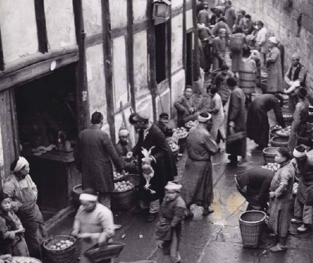 3377app|“我们需要怎样的职业教育？”全国教育专家来宁探讨职教发展方向(图1)