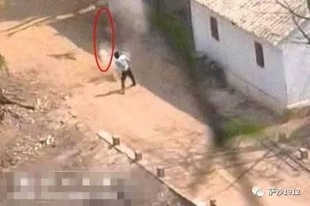 上海市职业教育5年行动计划中职生可休学工作再复学-3377体育(图4)