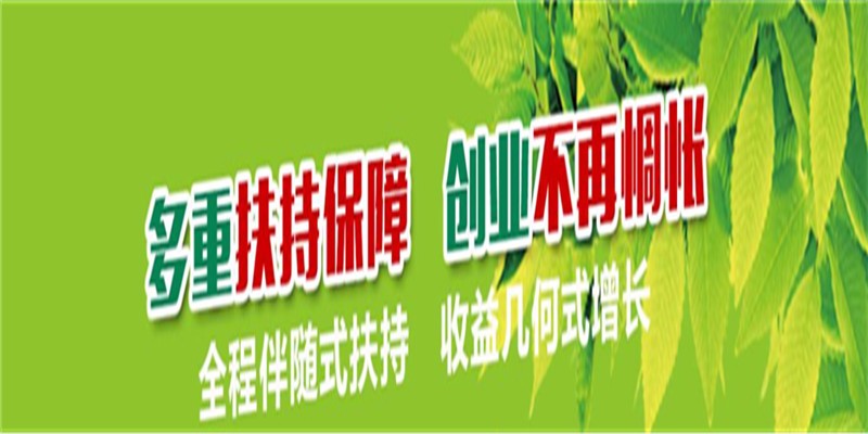 3377官网：中共济源职业技术学院第二次代表大会隆重召开(图3)