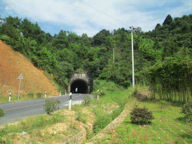 盘点2017年养猪行业关键词【3377官网】