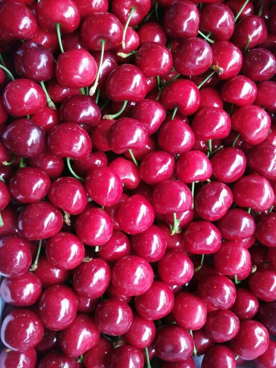 
食住玩疯狂模渲大师｜你真的知道什么是创业吗？：3377app