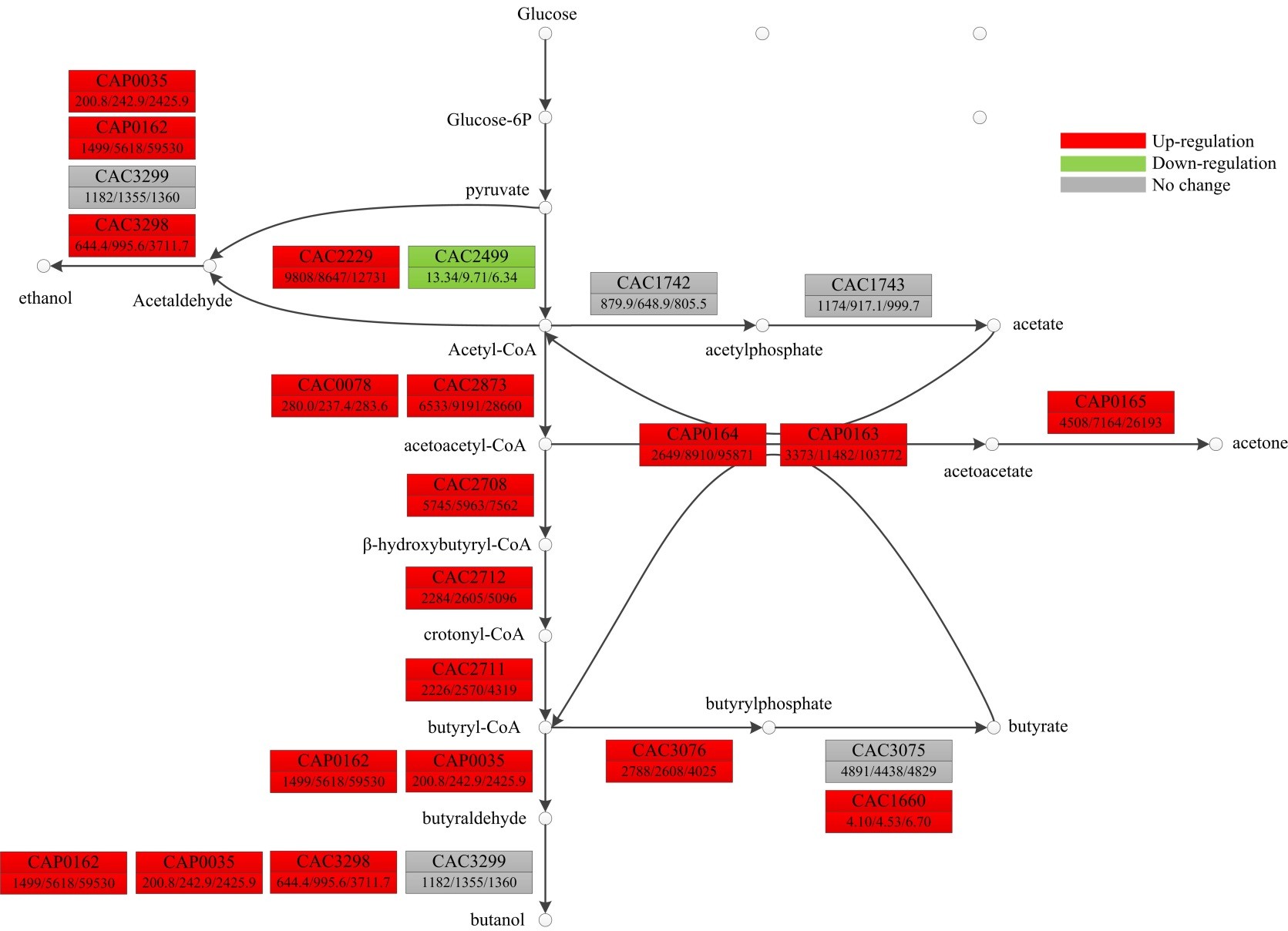 打造医药卫生职业教育的“中国品牌”：3377app(图2)