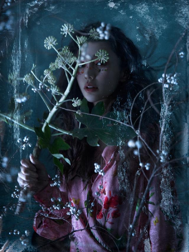 ‘3377官网’农大校科技点播台赴扶沟科技兴农解决“无头大豆”问题（图）(图1)